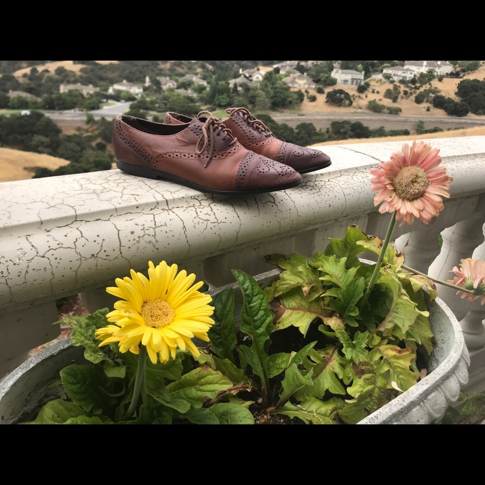 Shoes - Picture 2 of 5